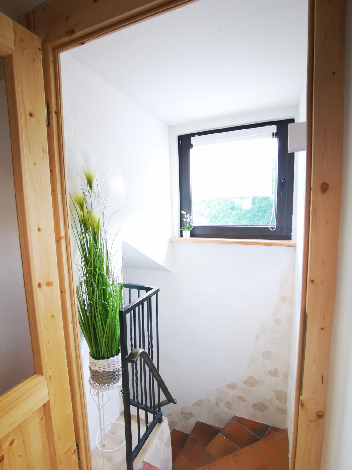 Kleine Auszeit Apartment Амелингхаузен Екстериор снимка